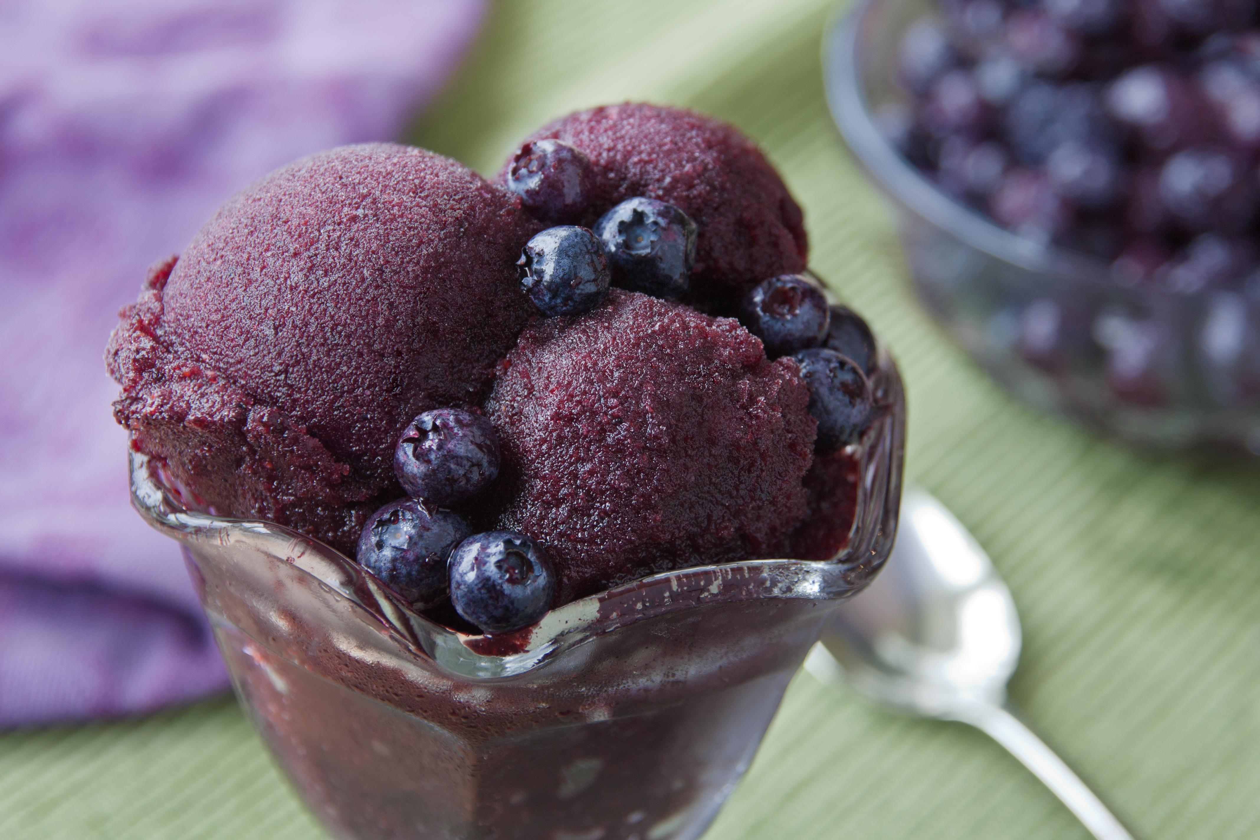 Blueberry Sorbet